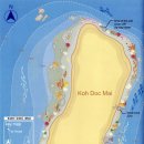 포인트독 이미지