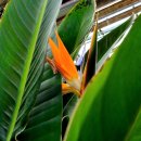 아산가든 이미지