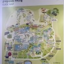 소나무전시관 화장실 | 벚꽃 명소 : 화담숲 벚꽃 실시간