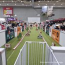 마이펫아카데미 | 2024 수원마이펫페어 체험부스 "달려갈개" 후기