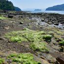 하도 해변 이미지