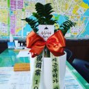 마주공인중개사사무소 이미지