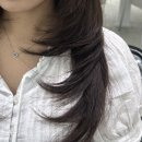 하이클래스헤어클럽 | [서초] 림벨르헤어: 하이레이어드컷 레전드 채아쌤에게 받은 뿌리매직 C컬 펌 솔직 후기