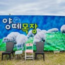 법인울산양떼목장