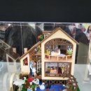 장성 산책길 황룡강 길동무 꽃길 축제 마지막날 다녀왔어요