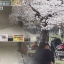 우리독도
