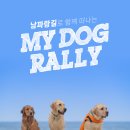아웃독(OUT DOG) 이미지