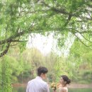 ​[대전 스냅 | 여운] 결혼 5주년, 우리 인생 사진을 만나다! 🌿 '여운스냅' 야외 촬영 후기