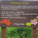 양학연당(양학저수지) 이미지