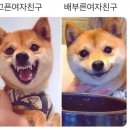 즉석우동 이미지