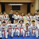 용인대 현대 태권도 이미지