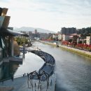 EFC PC ZONE 이미지