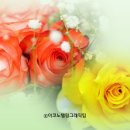 장미정원 - 아산시 송곡길 190-12 | 장미정원