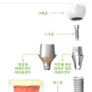 맵시유로