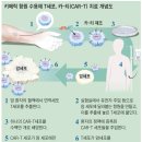 카티(CAR-T, 키메라항원수용체 T세포) 항암치료제란 이미지