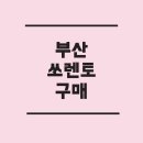 하단동1234 | 부산에서 쏘렌토 구매하기: 신차 구매 가이드와 딜러 선정 팁