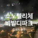월드당구장 | 내돈내산ㅣ소노벨 비발디파크 홍천 오션월드 다녀 온 후기