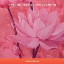 헤어락 네이버블로그