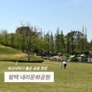 내리1길 | 평택 내리문화공원 아이랑 가기 좋은 피크닉 공원 후기