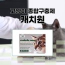 송도반려동물약국 이미지