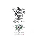 미야글씨 이미지