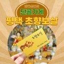 탄현1로 | 평택신점 초향보살에서 받은 진솔한 상담 기록