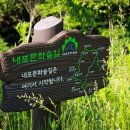 국립용현자연휴양림 이미지