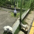 콩이네민박 이미지