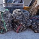 하나개해수욕장 -해변 앞1 이미지