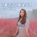 양주시청소년수련원 체육관 | 양주 나리공원 서울 근교 경기도 핑크뮬리 천일홍 명소 가을 꽃 축제 구경 가볼만한 곳