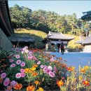 보현사앞 이미지