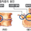 성모한길정형외과 이미지