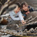 안녕강아지야 이미지