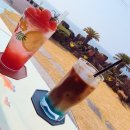 한수풀동물병원 | 한림 해안도로) 🌷 봄처럼 싱그러운 카페 요조조 ☕