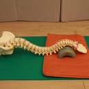 SNPE바른자세운동B 이미지