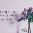 벌과 파리를 구별하는 법 [하나님의교회/패스티브] 이미지