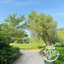 선암호수공원 관리동 화장실 이미지