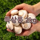달싱상회