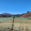 안평농장 이미지