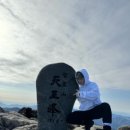 세원 네스텔 이미지