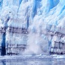 연어의고향 이미지