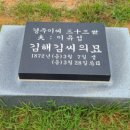 평장 이미지
