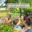 순천만국가정원 동문 소회의실4 | [전남 순천] 순천만국가정원 어린이동물원 아기랑 물놀이