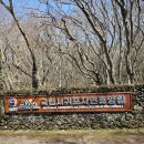 제주도 숨은 명소 서귀포자연휴양림 산책과 숲속 숙소 정보