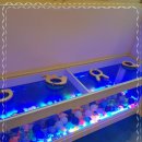 카페패밀리 이미지