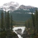 달리는족족 이미지