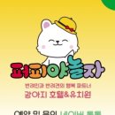퍼피야놀자 네이버블로그