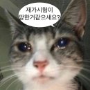 계절 시러 장마 시러! [6월]