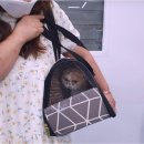 고양이 행복 쉼터 이미지