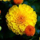 행복한이야기 이미지